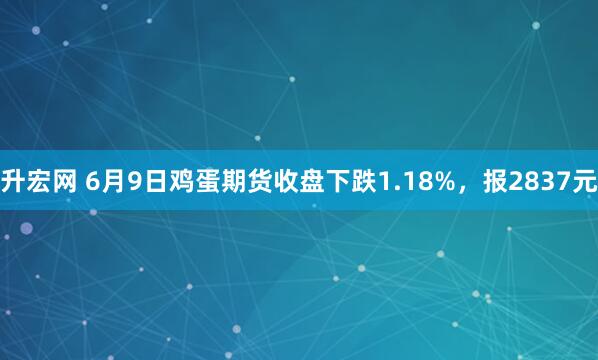 升宏网 6月9日鸡蛋期货收盘下跌1.18%，报2837元