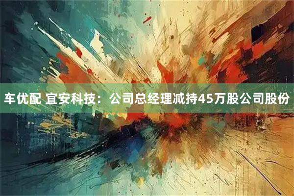车优配 宜安科技：公司总经理减持45万股公司股份