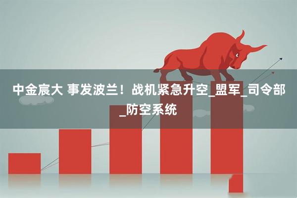中金宸大 事发波兰！战机紧急升空_盟军_司令部_防空系统