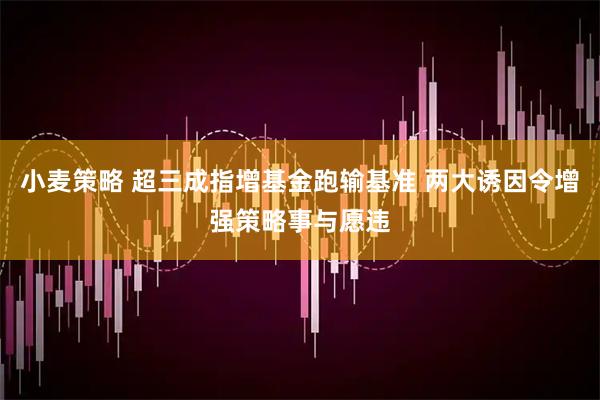 小麦策略 超三成指增基金跑输基准 两大诱因令增强策略事与愿违